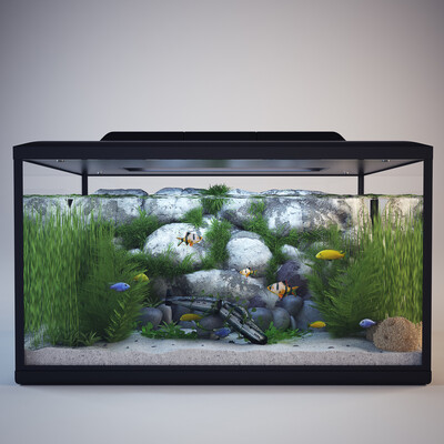Aquarium