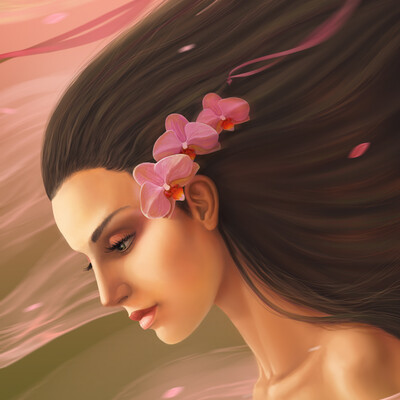 Orchid