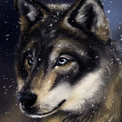 Wolf