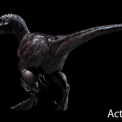 raptor