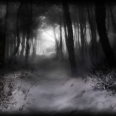 Black Forest