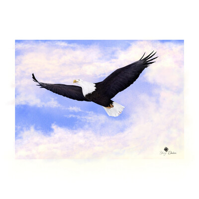 Free Flight