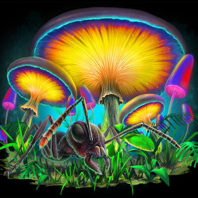 Mushrooooms