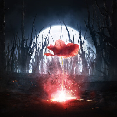 reborn from ashes