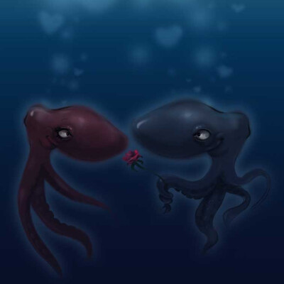 octopus