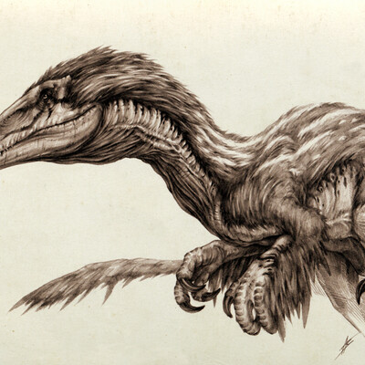 Austroraptor