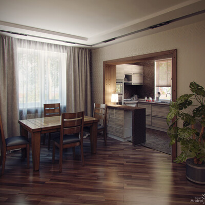 kitchen in a private home