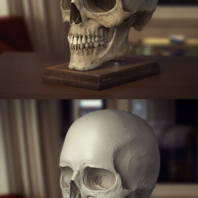 The Skull