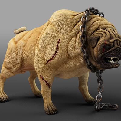 Pug