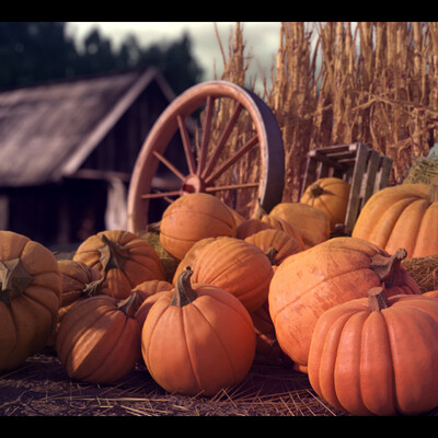 Harvest