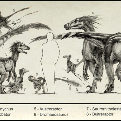 Raptors