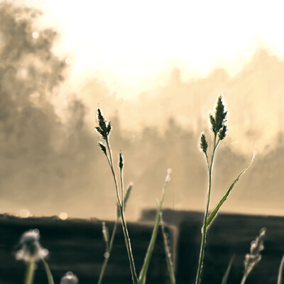 sunrise