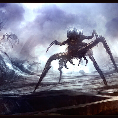 Spiders