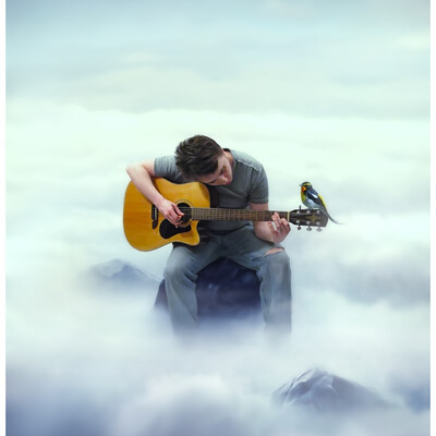 Guitarist