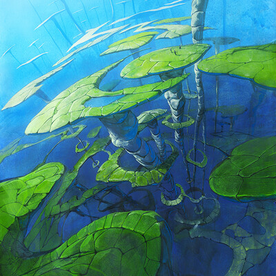 Mushroom farm
