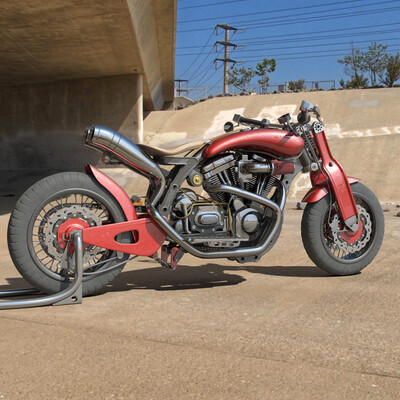 Custom bike