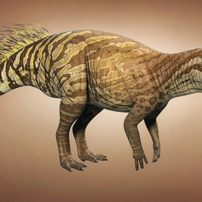 Psittacosaurus sibiricus