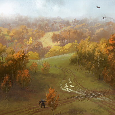 Forest road
