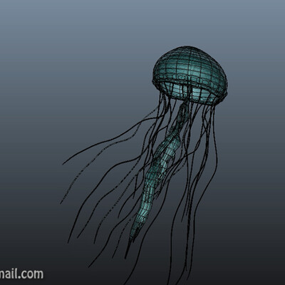 Jellyfish_Animation