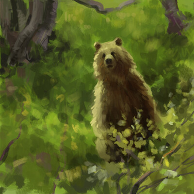bear