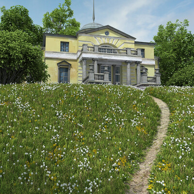 May dandelions