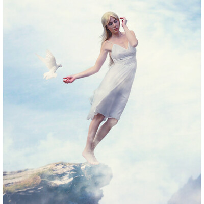 Fly