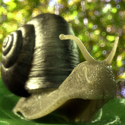 Snail