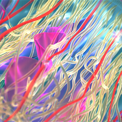 Color Jellyfish