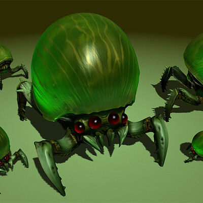 bug