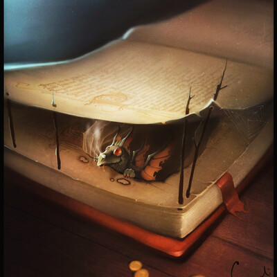 book dragon
