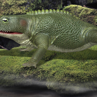 Cacops aspidephorus