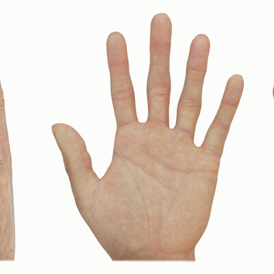 The hand