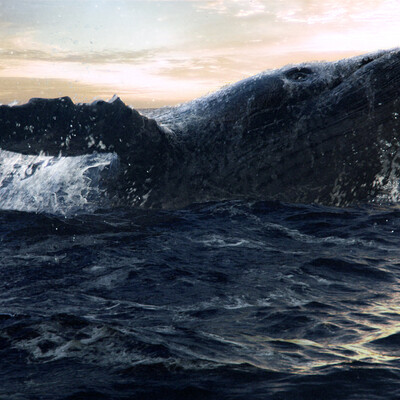 King of sea.