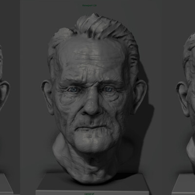 Old man portrait (3h) + video