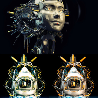 Robotic Geisha
