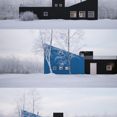 Winter House