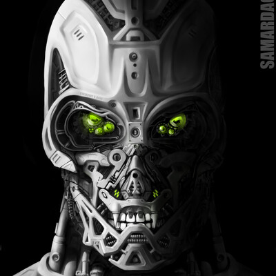 T-3000