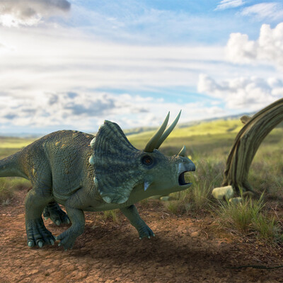 Triceratops