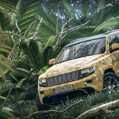 Wild Jeep