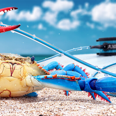 Blue Crab
