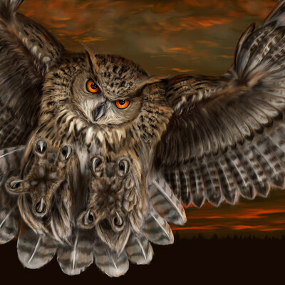 night predator