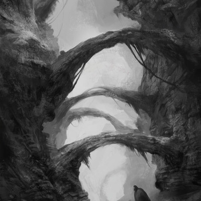 Canyon