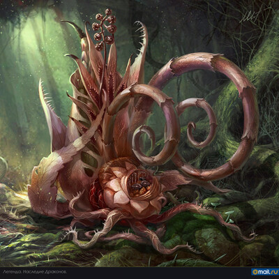 Neferto