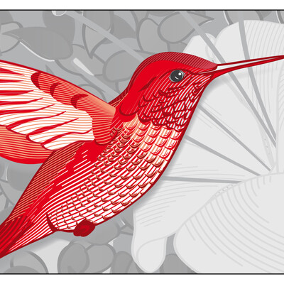 Colibri Cards