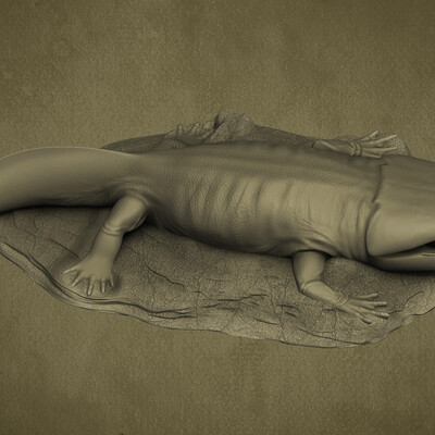 Metoposaurus 