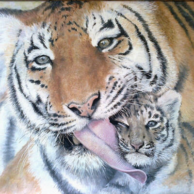 tigers