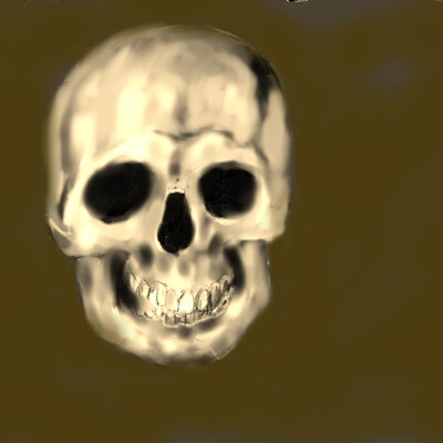 skull