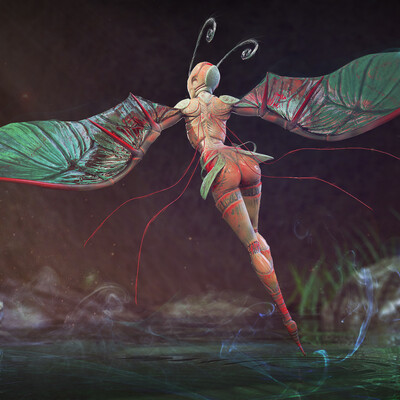 Butterfly