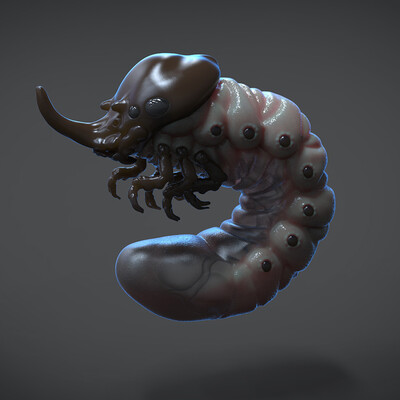 I put the larva