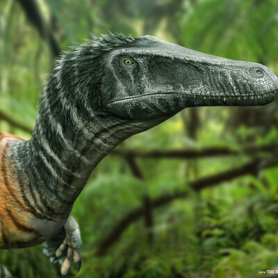 Austroraptor. The Stomping Land.